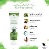 شامپو آلوئه جوجوبا فوراور (بسته بندی تیوپی) | Aloe-Jojoba Shampoo