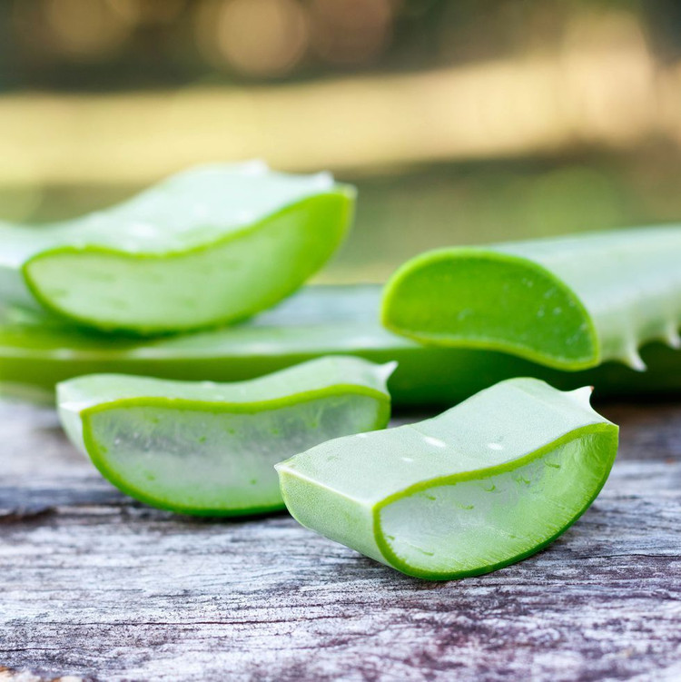 فوراور آلوئه ورا ژل (نوشیدنی خالص ژل آلوئه ورا) | Forever Aloe Vera Gel